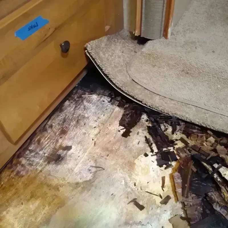 Best Wood Floor Water Damage Service in Saint Cloud, MN